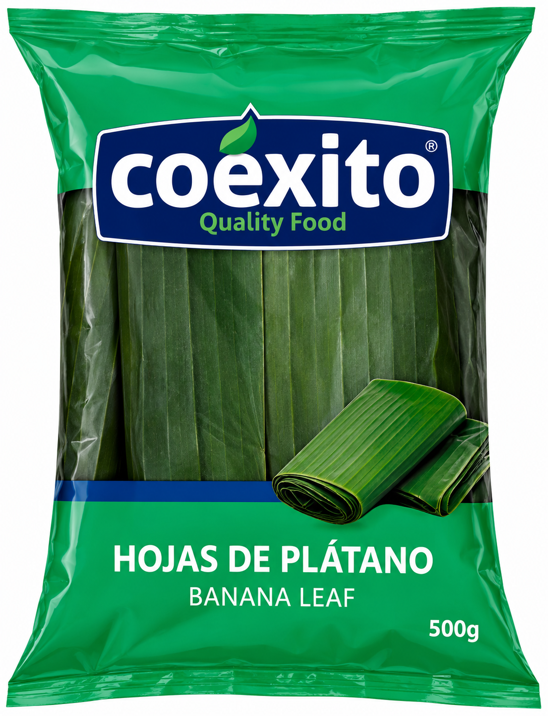 Hojas de plátano
