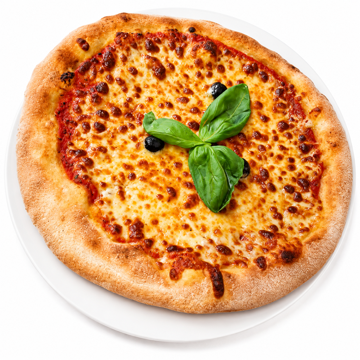 Pizza Marguerite