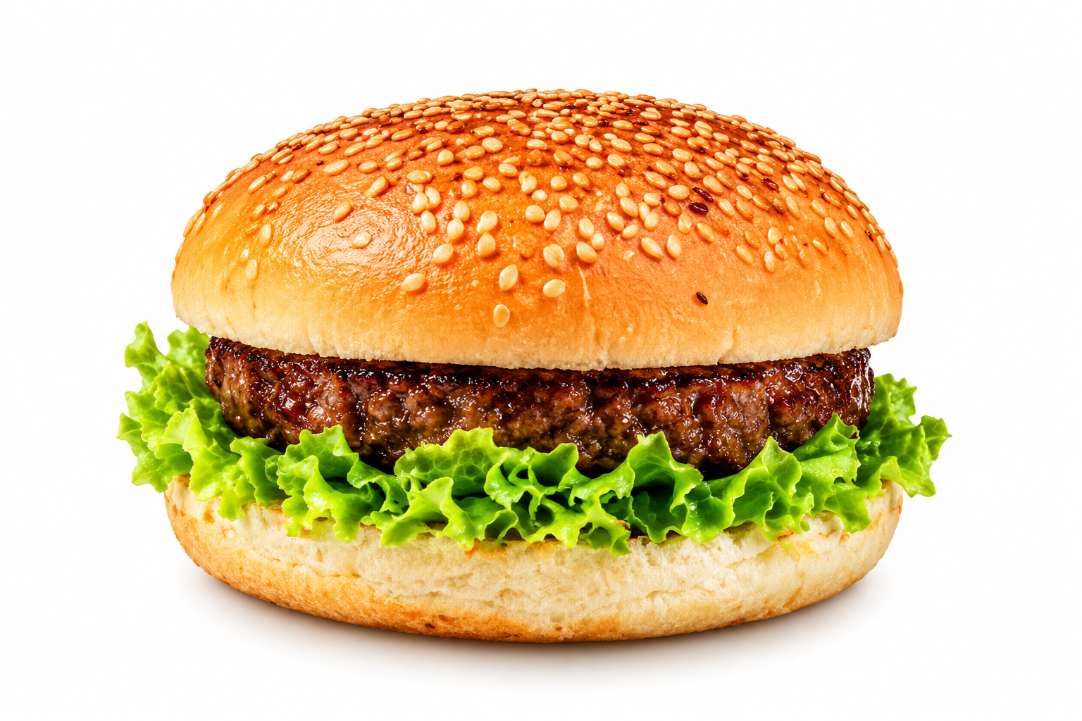 Hamburger