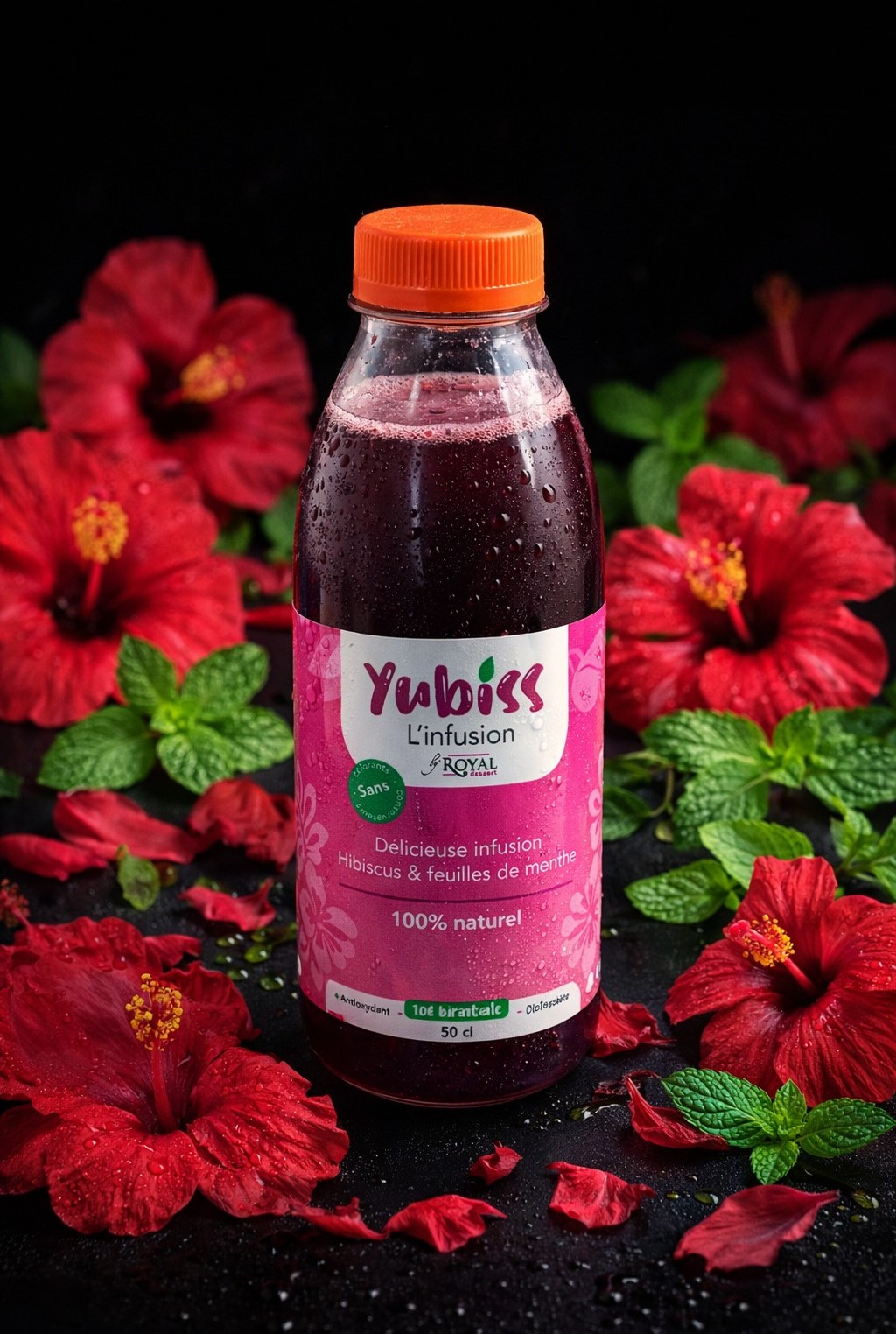 Hibiscus & Feuilles de menthe