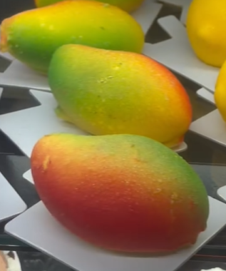 Trompe-l'oeil Mangue