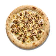 Funghi